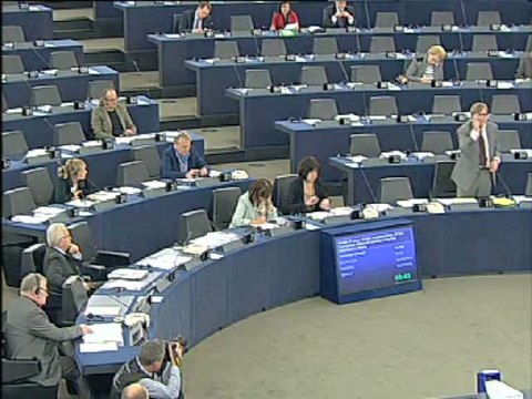 Guy Verhofstadt on European Council concerning the economic crisis