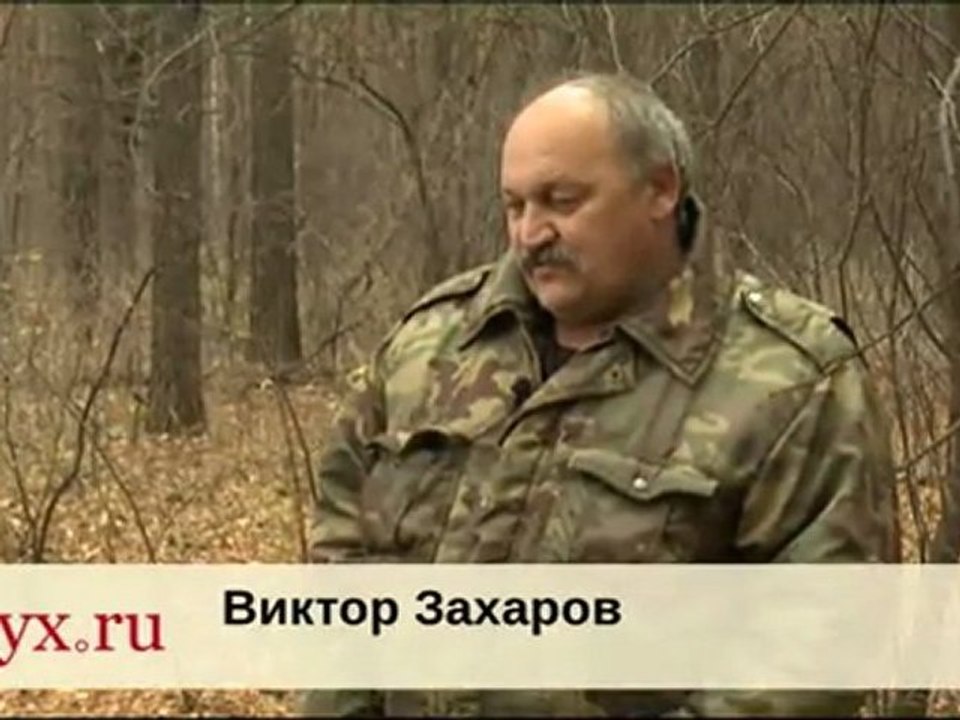 Пропавшие в тюменском лесу попали в аномальную зону?