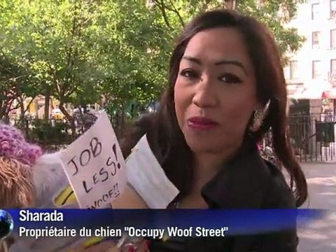 Reportage à New York avec des centaines de chiens déguisés pour la Halloween Dog Parade, une tradition de 21 ans