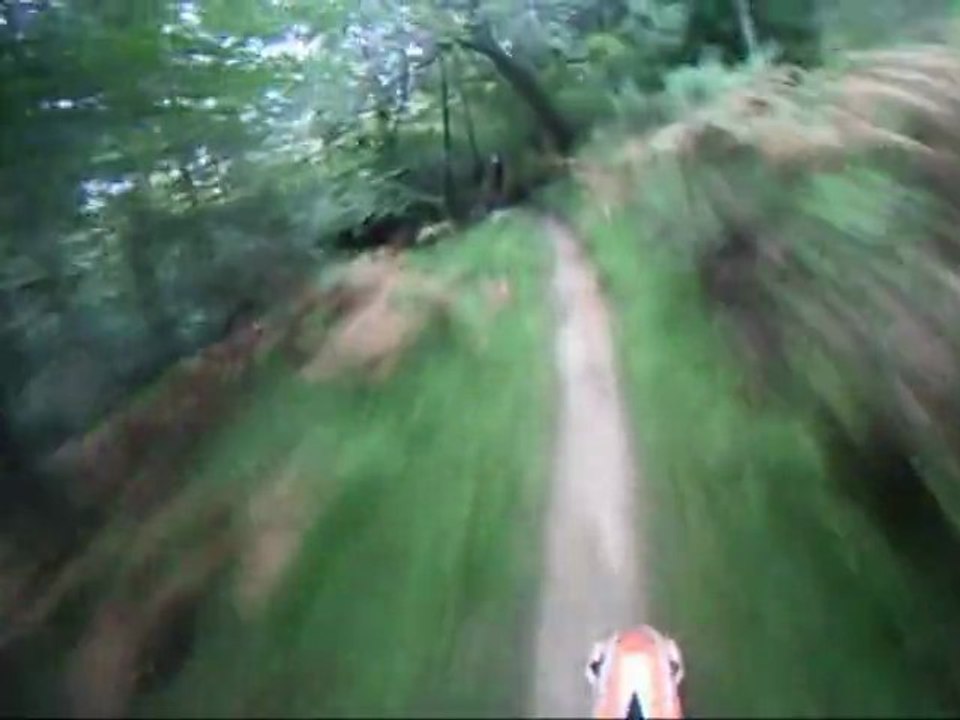 Ausgesetzt in der Wildnis