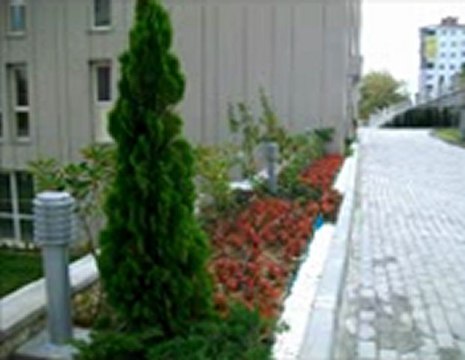 C-SİTESİ-YÜZME HAVUZLU-YENİ SİTEDE-OTURULMAMIŞ O DAİRE