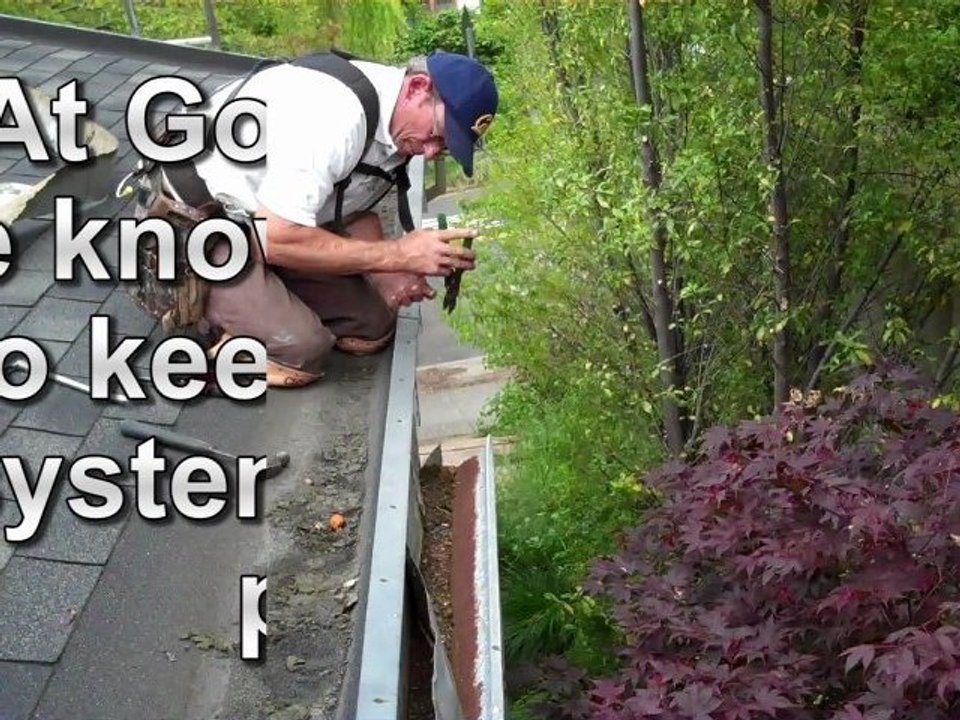 Berkeley Gutter Cleaning