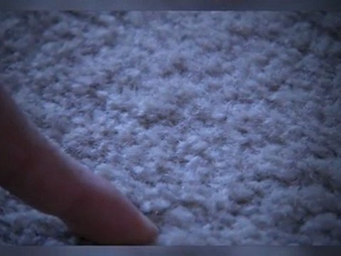 Carpet Cleaning Professionals at Spectrum Restoration | Aurora, IL (630) 898-3200
