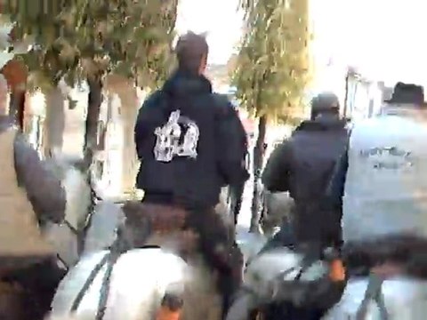 Aigues Mortes 2011 Manade du Gardon