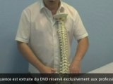 Ostéopathie Fonctionnelle 2 Extrait N°2