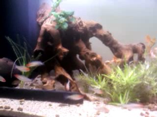 video-2011-10-25 20.10.10