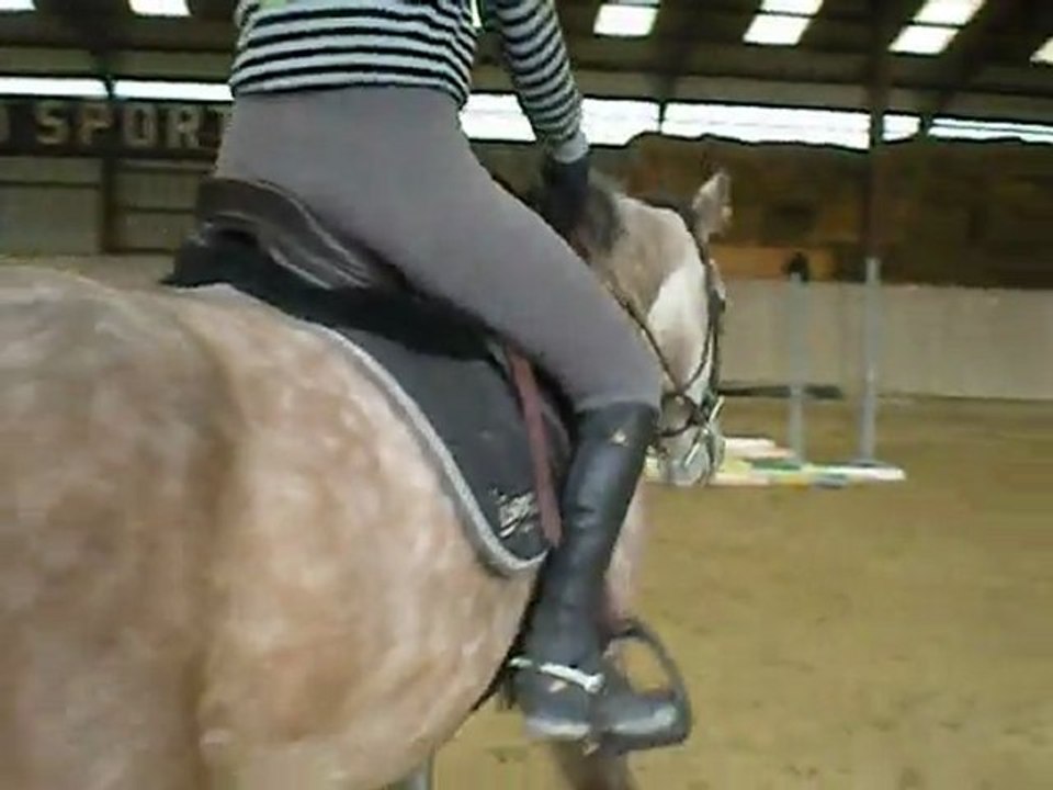 entrainement  reprise dressage galop 7