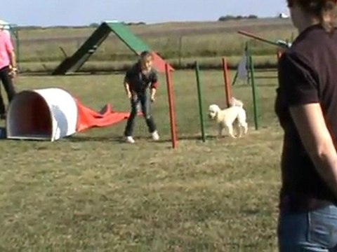 Anis jumping Mehun 16 10 2011