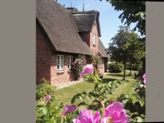 Urlaub Auf Föhr Oevenum Ferienvermietung Sophienhof