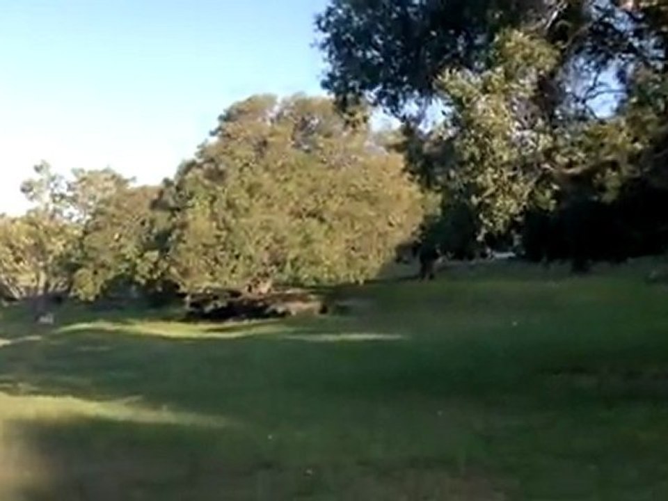 24102011015