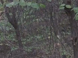 Ike's Outdoors Webisode 3: Redemption