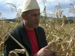 Lalush Sheherlia 2o11