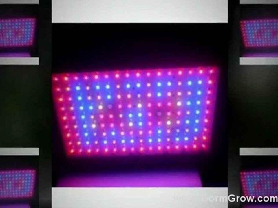 Best LED Grow Light for Hydroponic Gardening