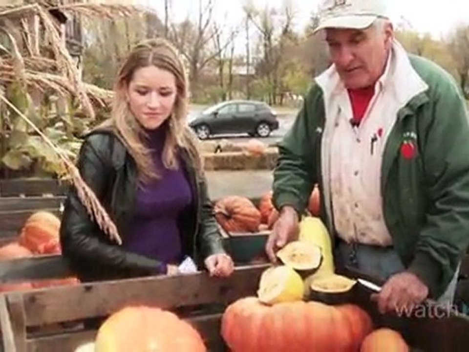 Pumpkin Carving: How to Pick a Pumpkin or Squash
