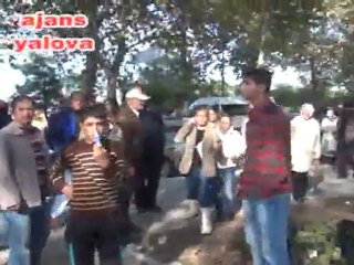 Üzerine Ağaç Devrildi