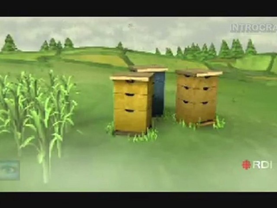 La Disparition Des Abeilles - 2 de 3