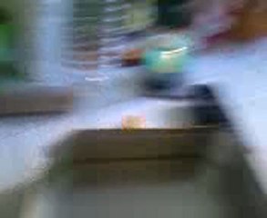 COMBAT TOUBI  CYCLONE VS  PEGASUS