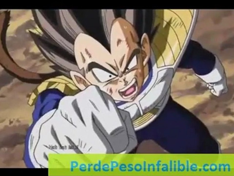 vegeta se calienta