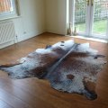 cowhide rugs from rug house