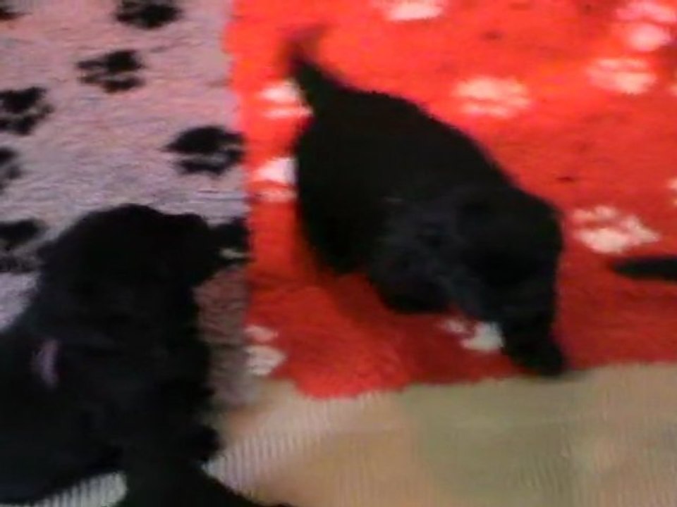 jeux de bébés 4 semaines