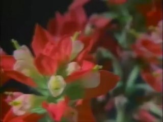 Muhammed Acar - O Gün Orada