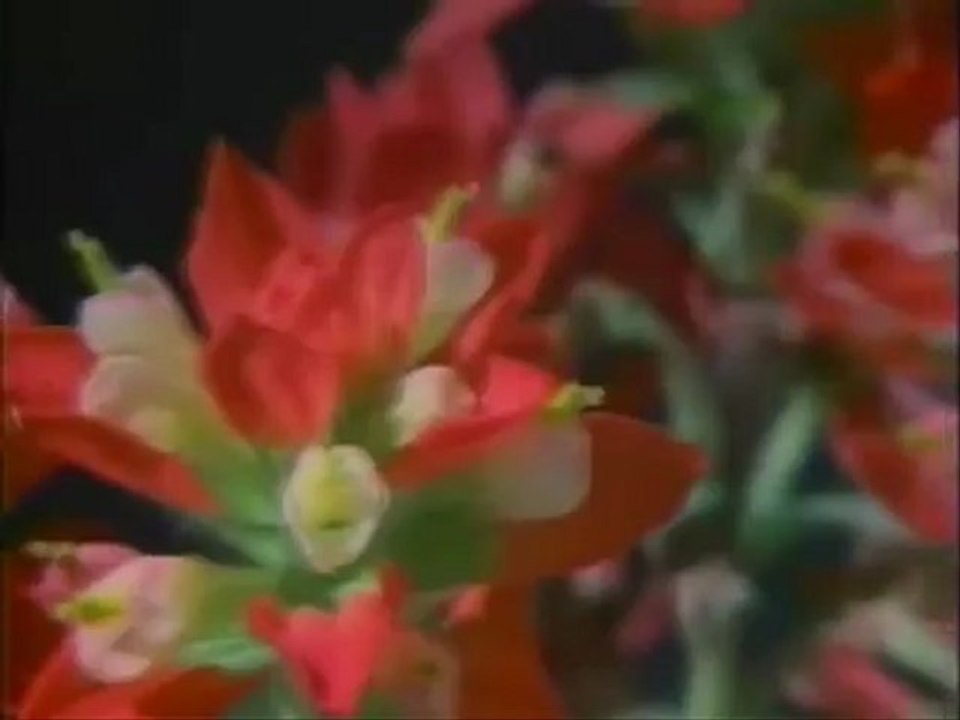 Muhammed Acar - O Gün Orada