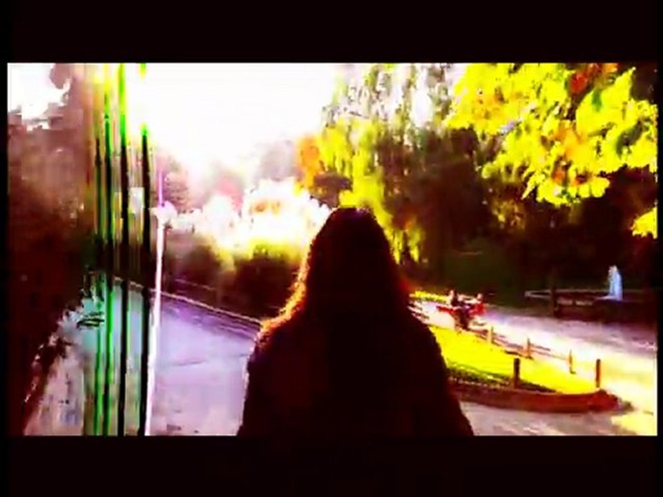LA PARTICULA EXCENTRICA
