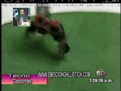 2da Parte Programa TECNODEPORTES martes 25-OCT.-2011 por Manuel Perelló