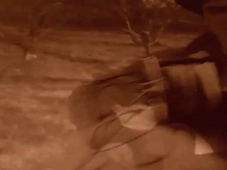 Clip after all - export net