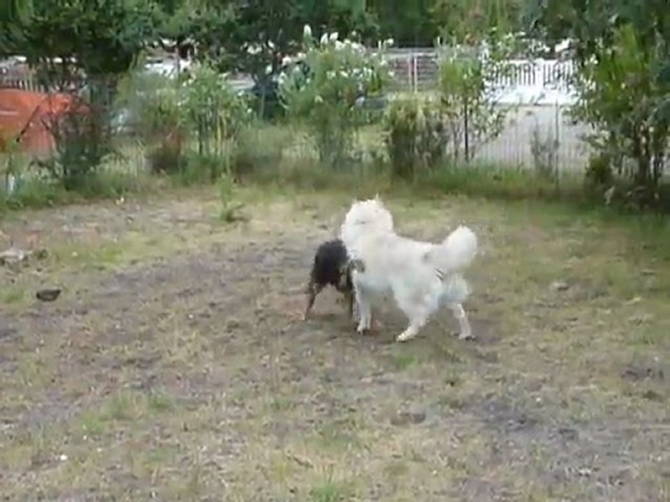 Jeux au jardin