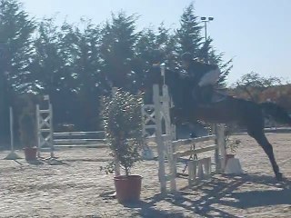 Manon et Guimauve club 1 Sandillon 23/10/11