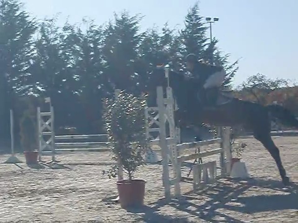 Manon et Guimauve club 1 Sandillon 23/10/11