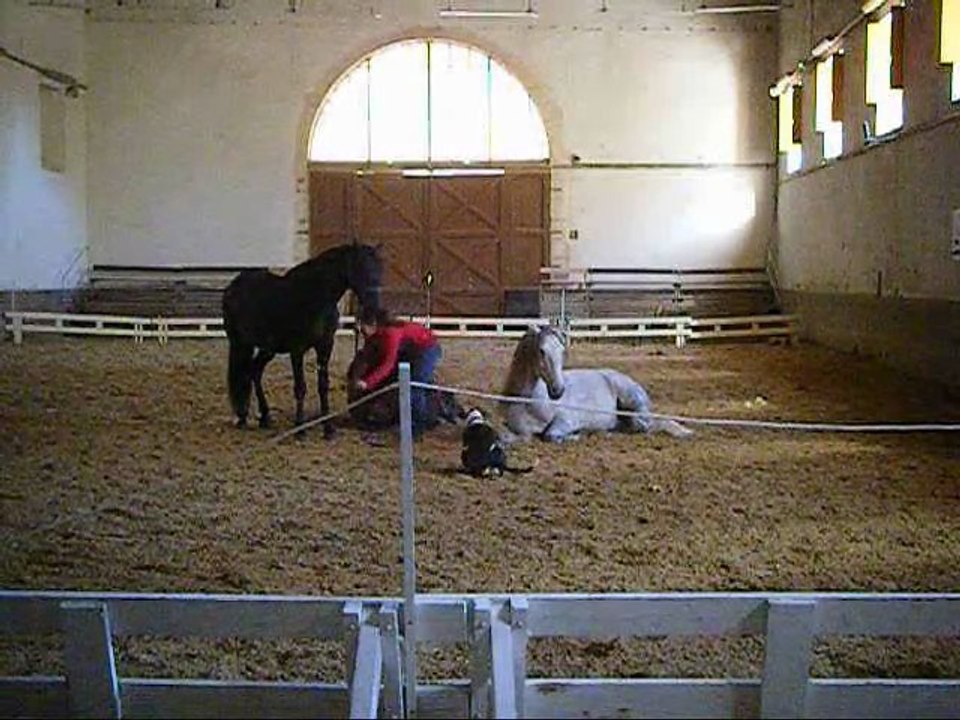 Petit extrait d'une séance avec mes 3 doudous
