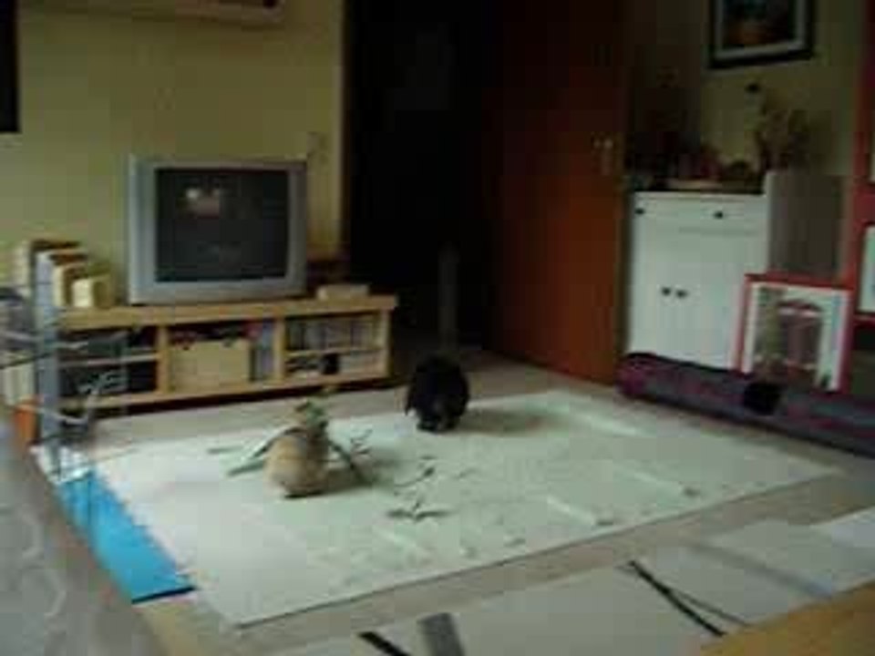 Der tägliche wahnsinn