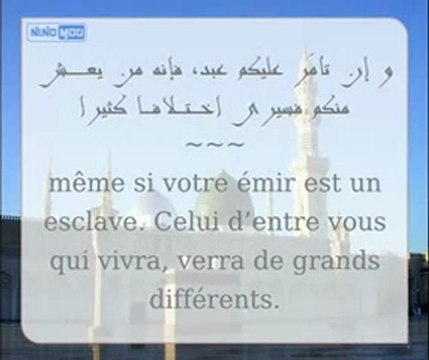 28. Les 40 Hadiths An-Nawawi