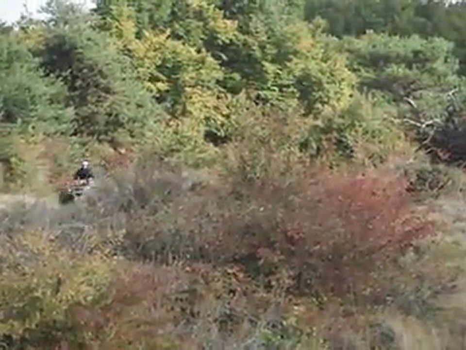 DSCF1200