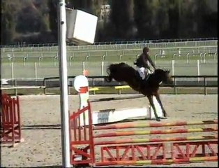 Ombre de la Roche - Maison Laffitte - GP 135