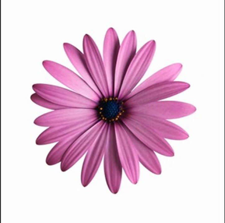 Mercan Dede _Orhun Mehdipur_