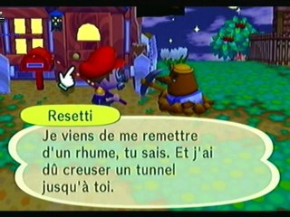 Critique animal crossing (n64/ngc/ds et wii rien que ça)