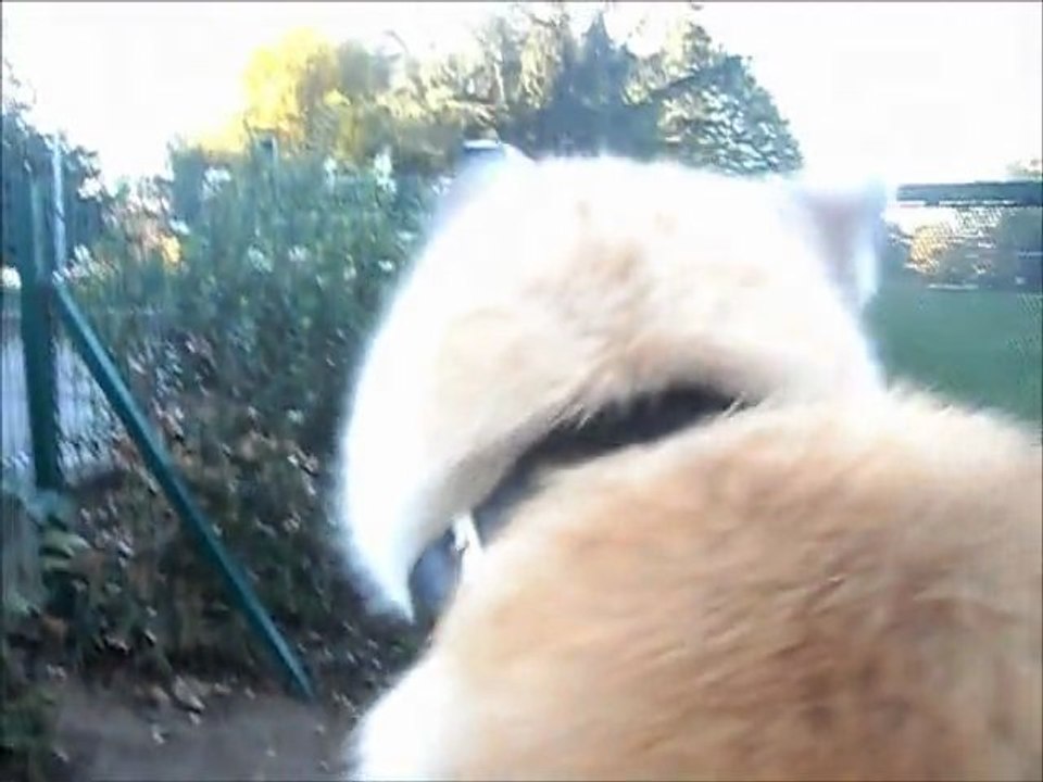 Les filles et leur copain Coca le 26 10 2011