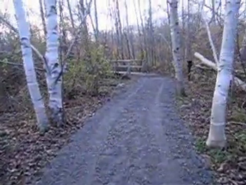 Société Provancher, Sentier à l'accueil MVI_0179