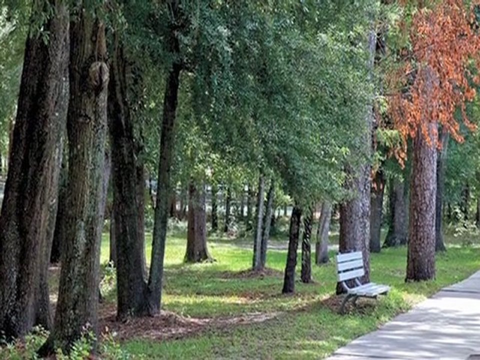 Douglaston Villas and Townhomes