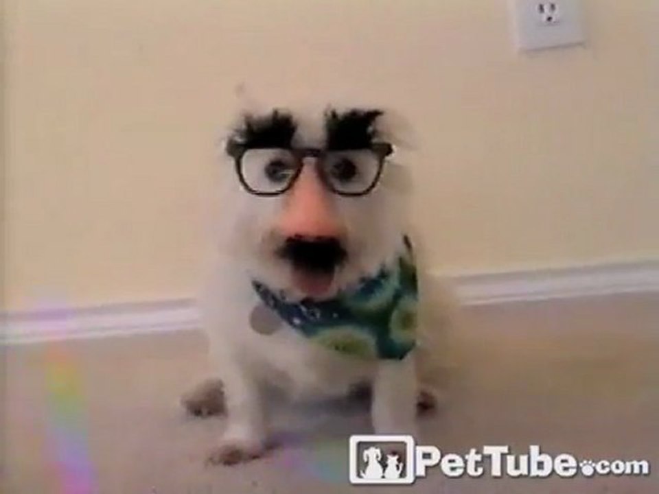 Puppy Potato-Head