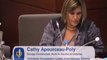 Intervention Cathy Apourceau-Poly apprentissage 10-10-11