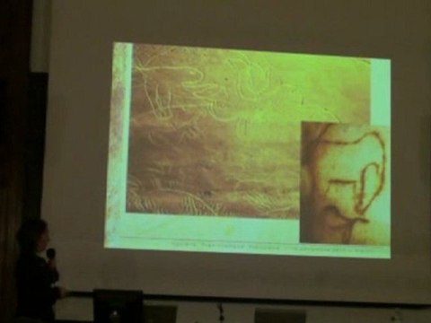 Cussac, le Panneau de la découverte : premiers relevés (2eme Partie)