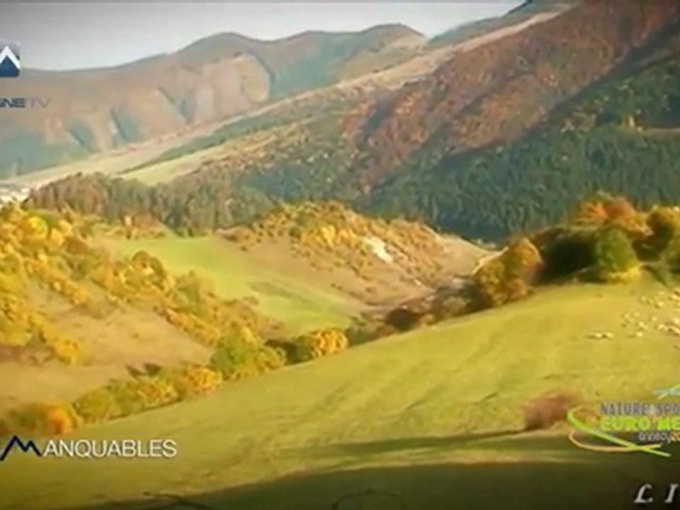 Les Immanquables - Euromeet
