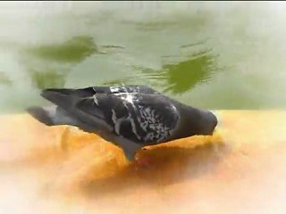 Фонтан 9 окт