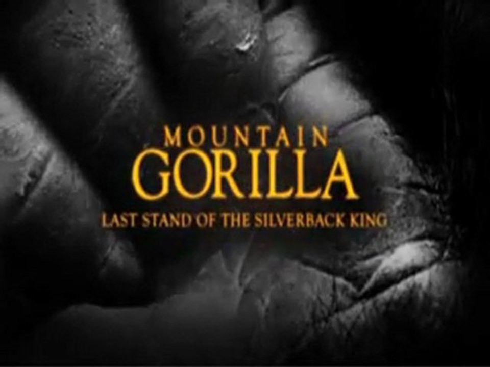 Mountain Gorilla - Last Stand of the Silverback King