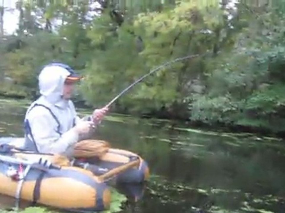 Silure en float tube