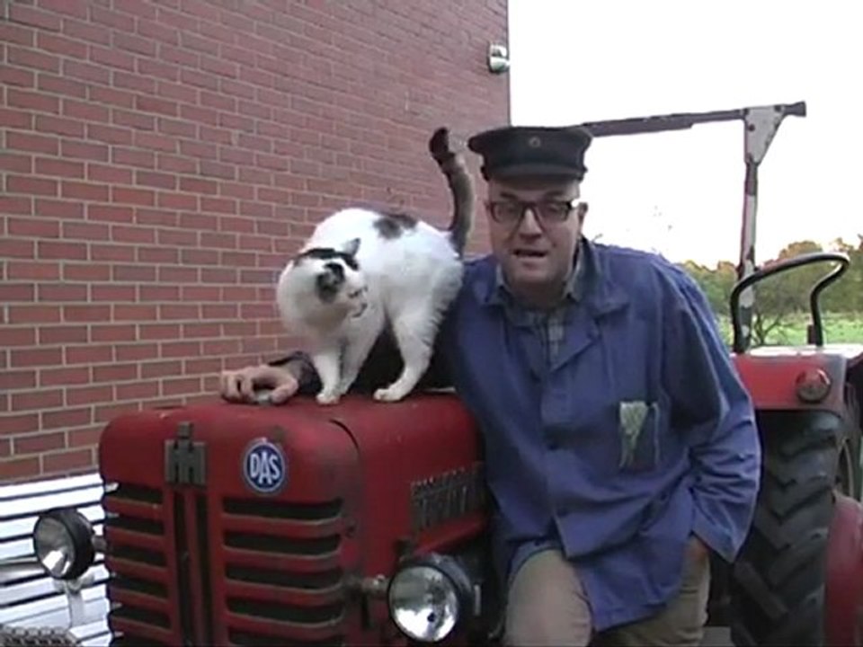 Katzensteuer, Sexsteuer, Bettensteuer, Kabarett